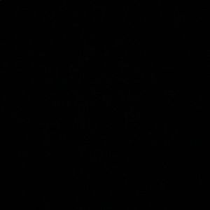 Meet your Posher, Jada